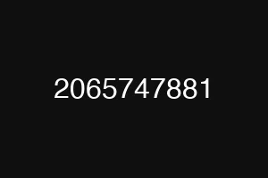 2065747881