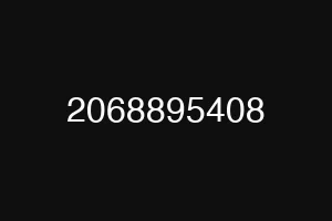 2068895408
