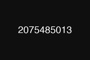2075485013