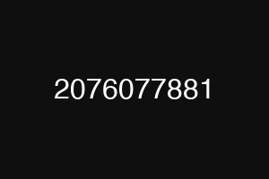 2076077881