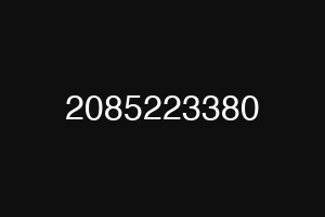 2085223380