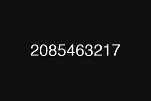 2085463217