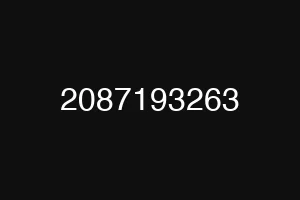 2087193263