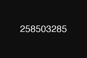 258503285