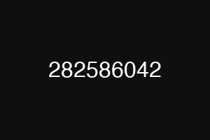 282586042