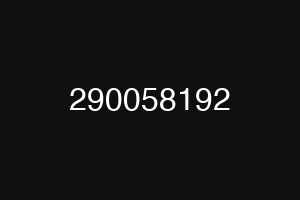 290058192