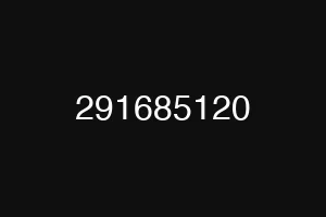 291685120