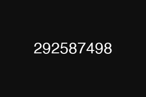 292587498