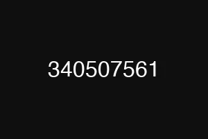 340507561