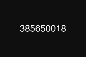 385650018