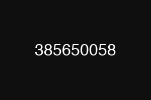 385650058
