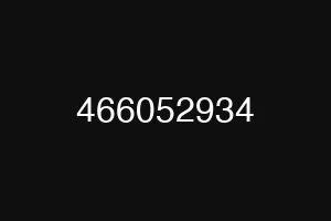 466052934