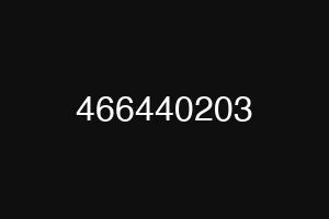 466440203