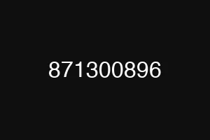 871300896