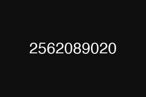 2562089020