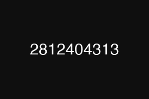 2812404313