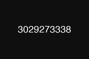 3029273338