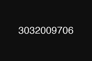 3032009706