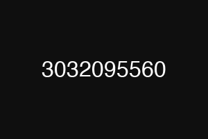 3032095560