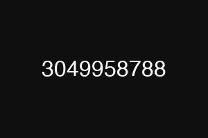 3049958788