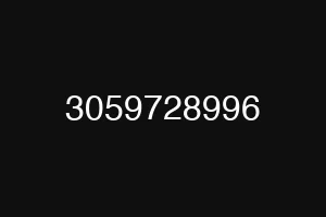 3059728996