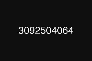 3092504064