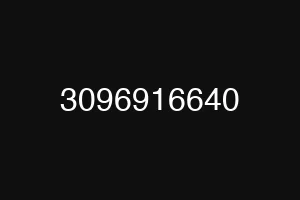 3096916640