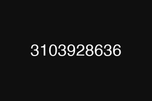 3103928636