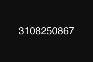3108250867