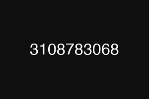 3108783068