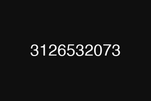 3126532073