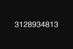 3128934813
