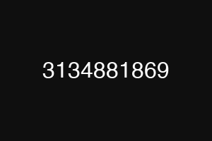 3134881869