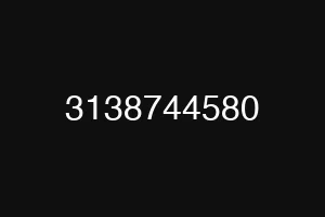 3138744580