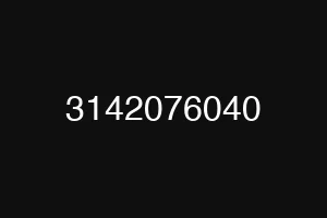 3142076040