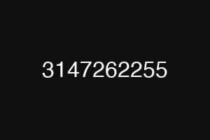 3147262255