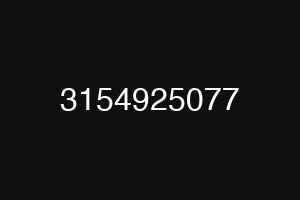 3154925077