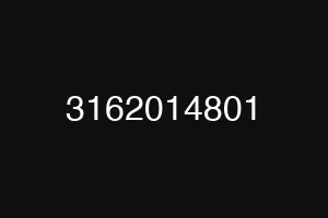 3162014801