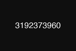 3192373960