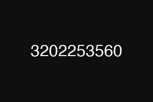 3202253560