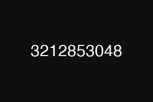 3212853048