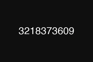 3218373609