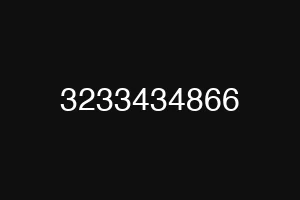 3233434866