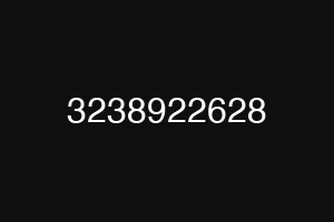 3238922628