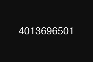 4013696501
