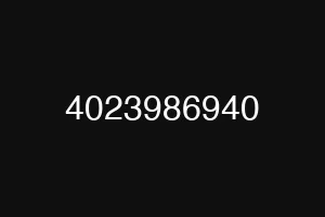 4023986940