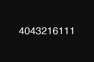 4043216111