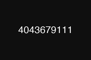 4043679111
