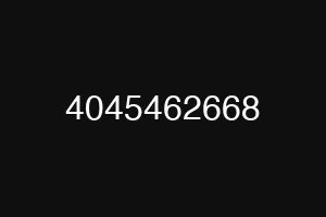 4045462668