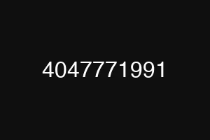 4047771991